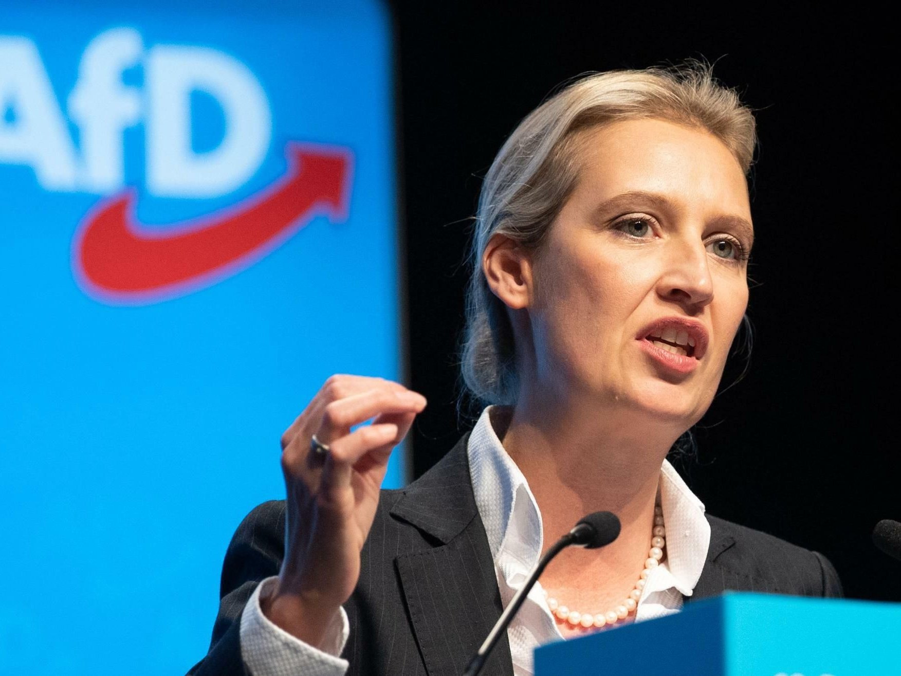 AfD auf D-Mark-Kurs  fr die Wirtschaft htte das enorme Sprengkraft