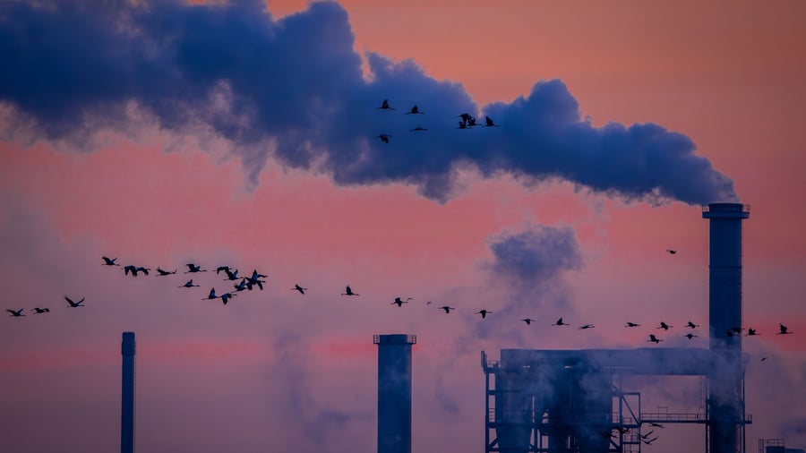 Konjunktur: Industrieproduktion geht überraschend zurück