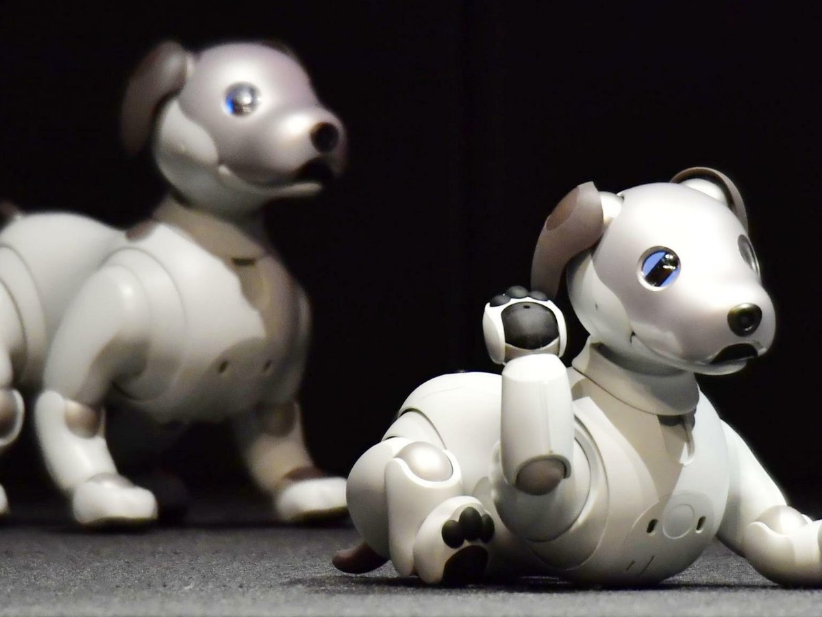 Aibo Sony bringt Roboterhund ein lebendes Emoji