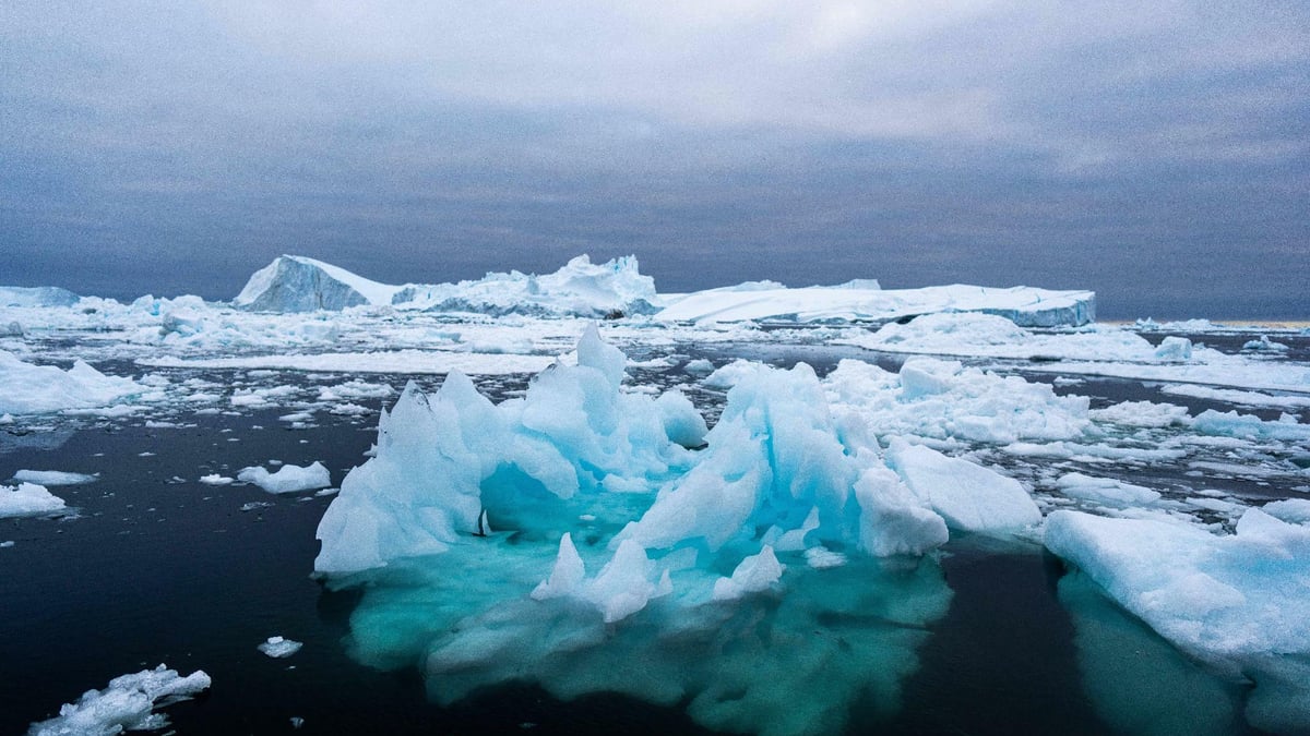 Michael Otto: „Der Klimawandel wird zu Klimakriegen führen“