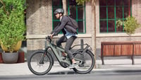 Eker Stark (2022): Das Bambus-Fahrrad im Test