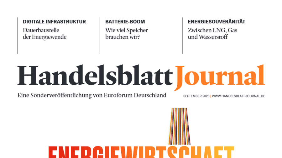 Handelsblatt vom 29. September 2026 als PDF verfügbar