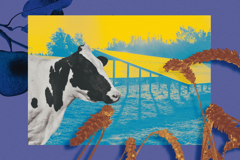 Ernährung: So kämpft die Lebensmittelbranche gegen die Hitze