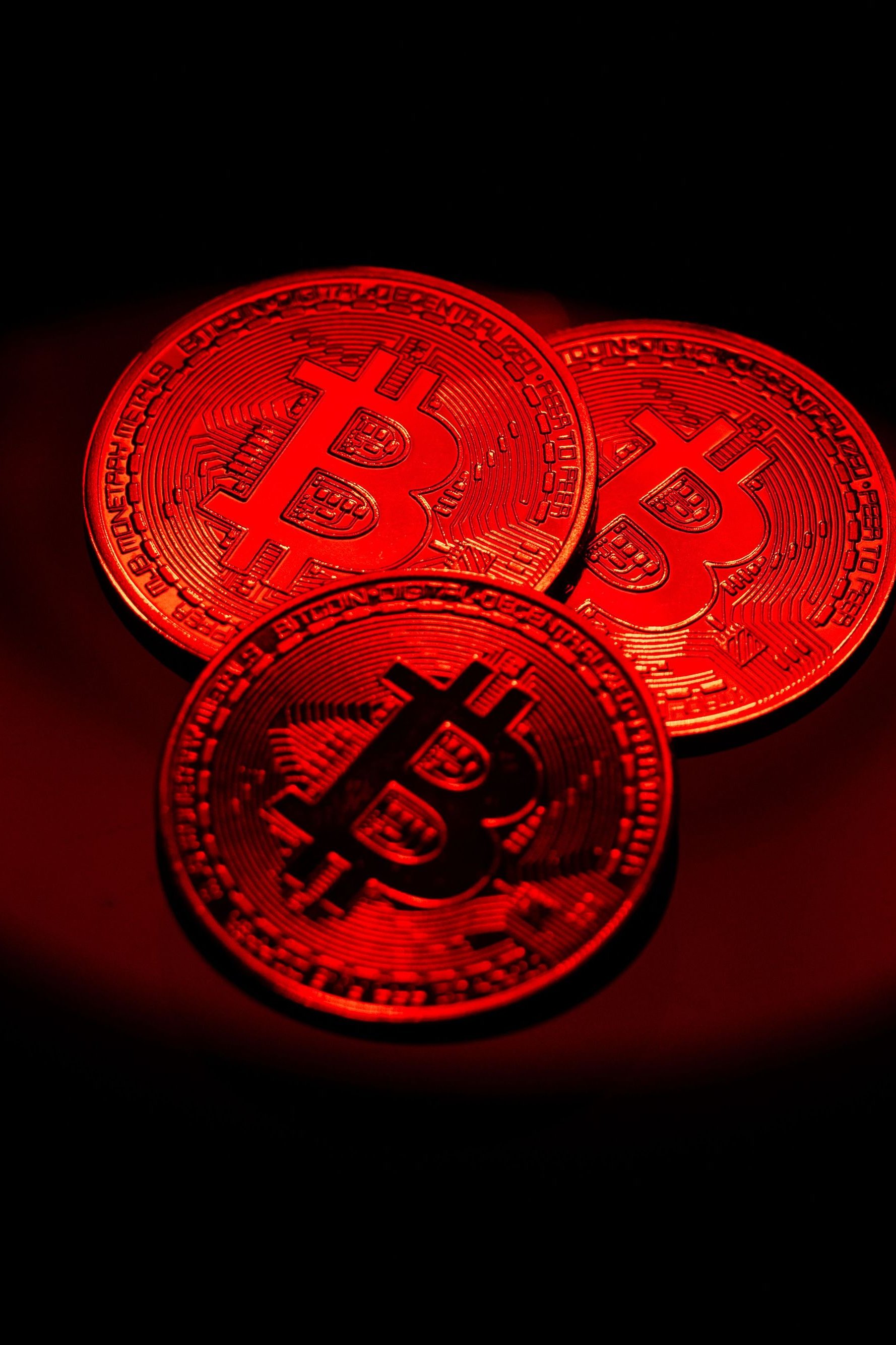 Steuern: Verluste mit Bitcoin? So holen sich Anleger Geld vom Staat zurück