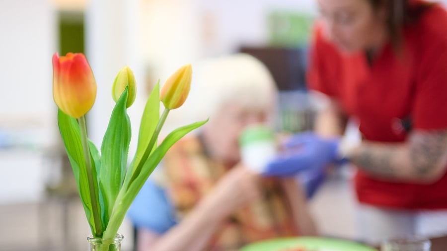Umfrage von Jobportal: Das sind die beliebtesten Arbeitsplätze für Pflegekräfte