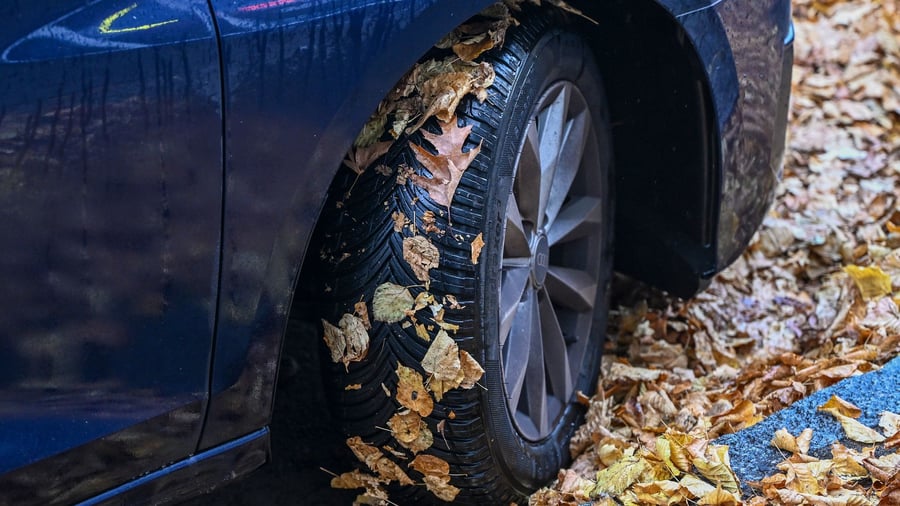 Größe 225/50 R 17: Diese Ganzjahresreifen haben im Test die Nase vorn