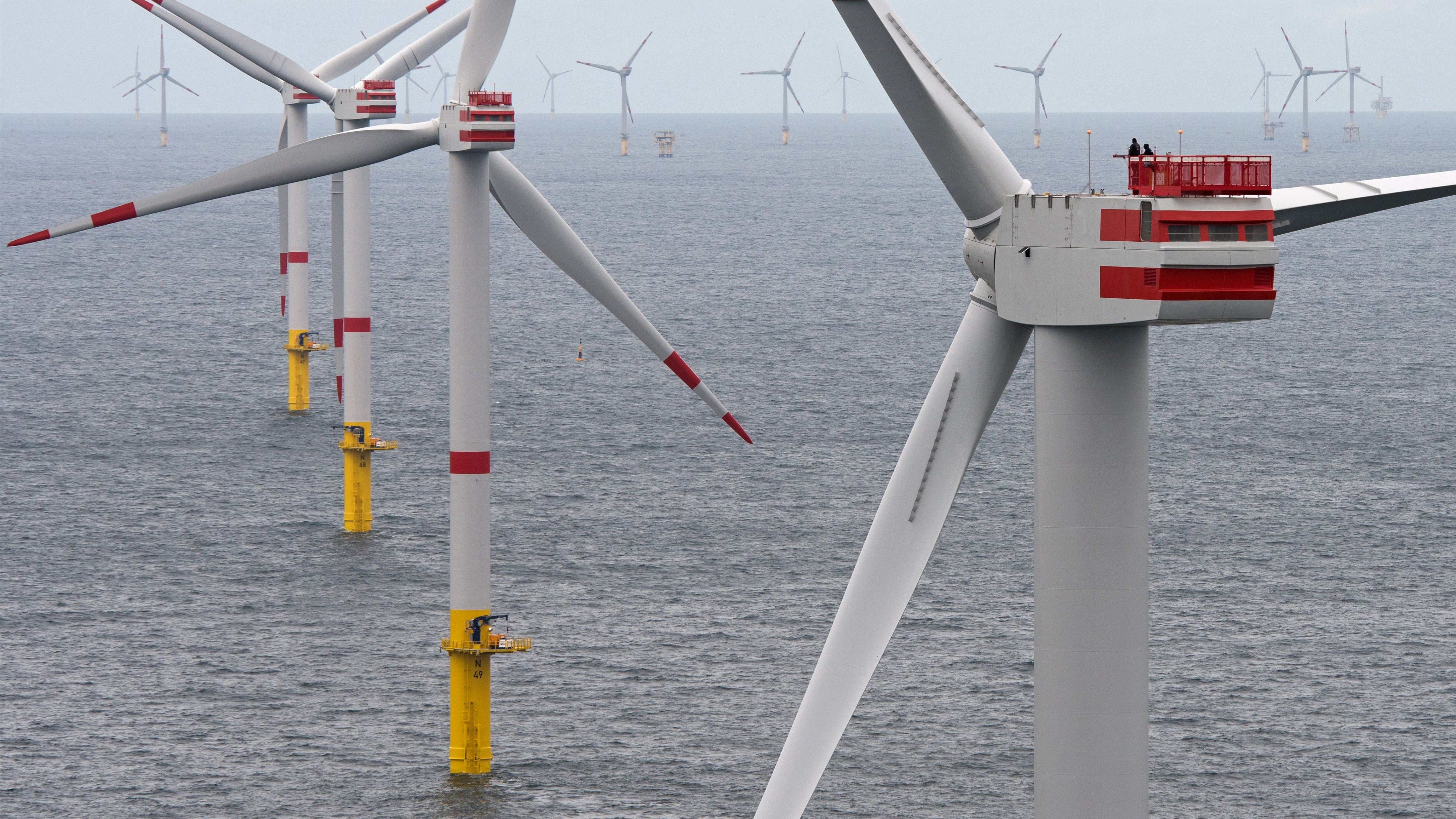 Energie: Wie Offshore-Windkraft durch Kooperation zum Erfolg werden kann