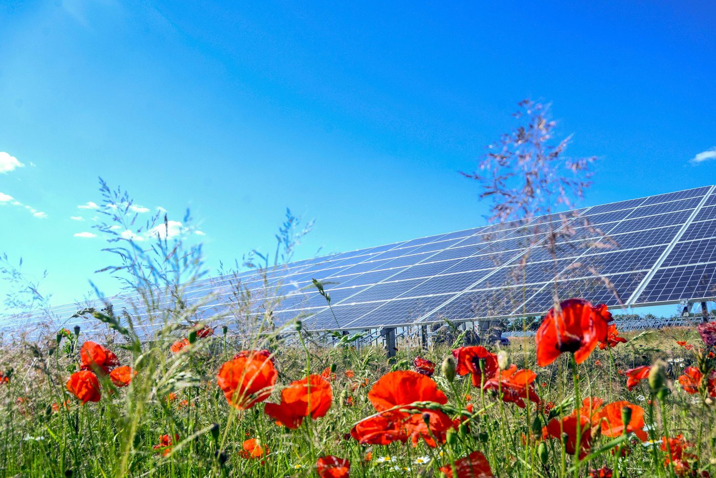 Erneuerbare Energien Deutschland wird Europas größter Markt für Solaranlagen