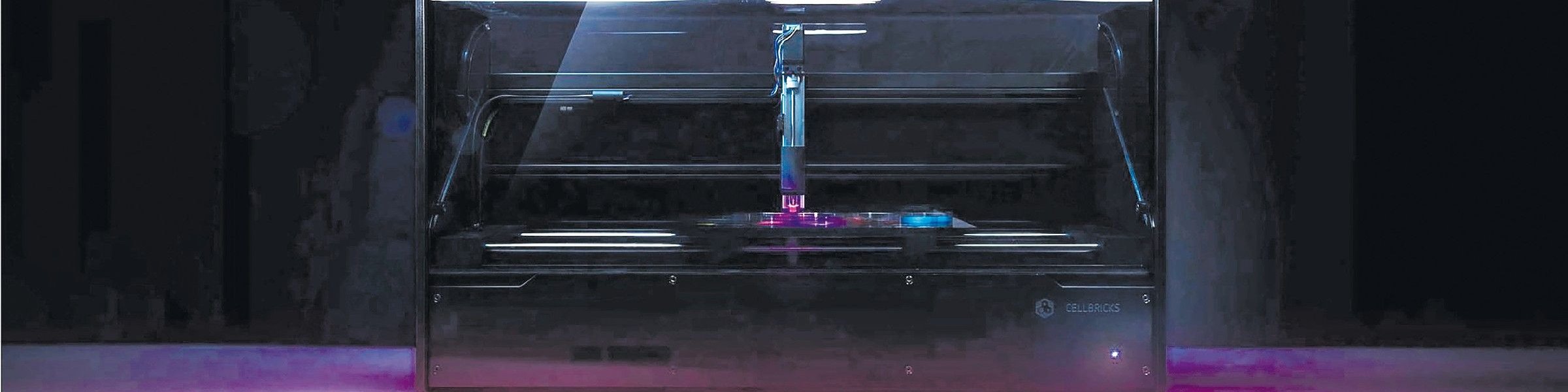 Bioprinting: Wie 3D-Druck Wartezeiten auf Spenderorgane verkrzen knnte