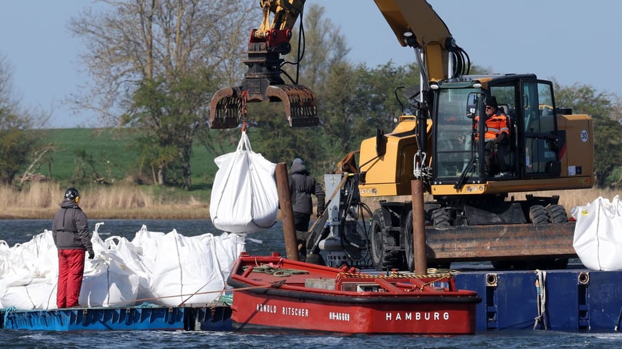 Gestrandeter Buckelwal: Vorbereitungen für Wal-Bergungsversuch laufen