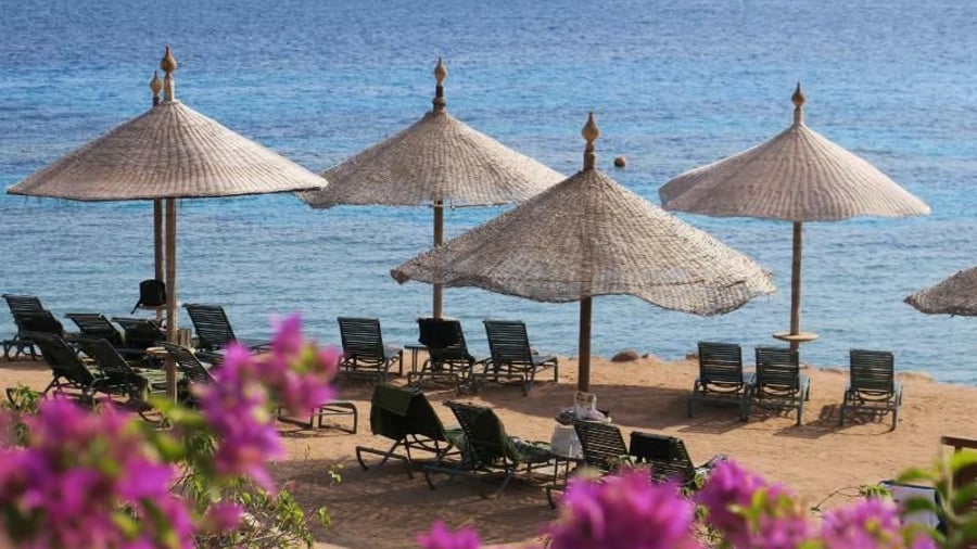 Tourismus: Reiseveranstalter erwarten stabile Buchungen