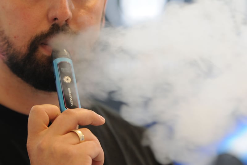 elfbar elfa master akku E-Zigaretten & IQOS im Urlaub main image 0