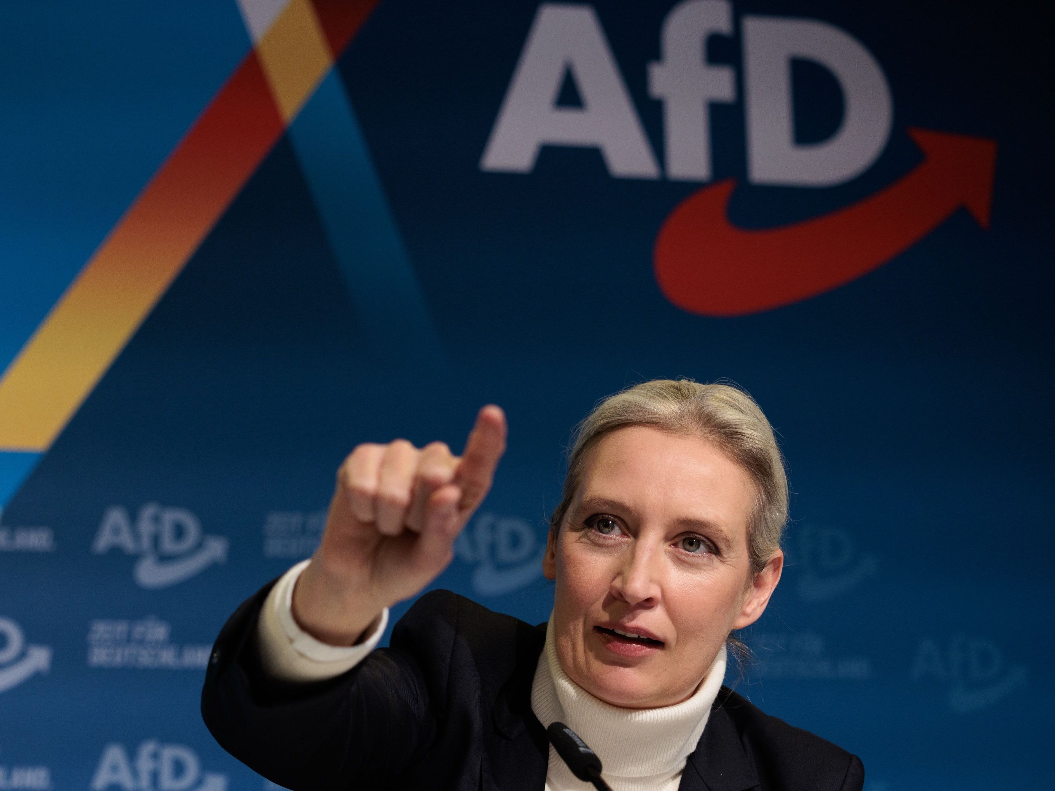 Neuwahl des Bundestags schürt Angst vor Blockade-Macht der AfD