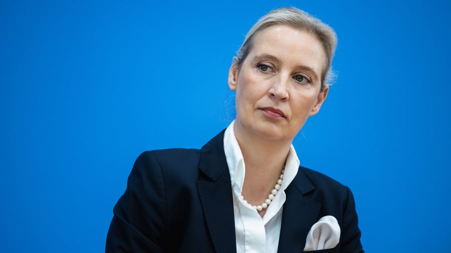 Nord Stream: Kritik an geplanten Gesprächen der AfD mit Russland über Gaslieferungen