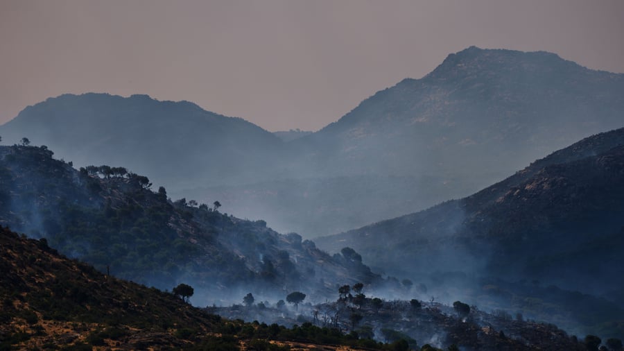 Feuer: Waldbrände in Frankreich und Spanien – 260.000 Menschen evakuiert