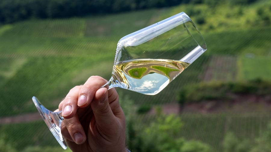 Weinbau: Trockene Weine im Trend