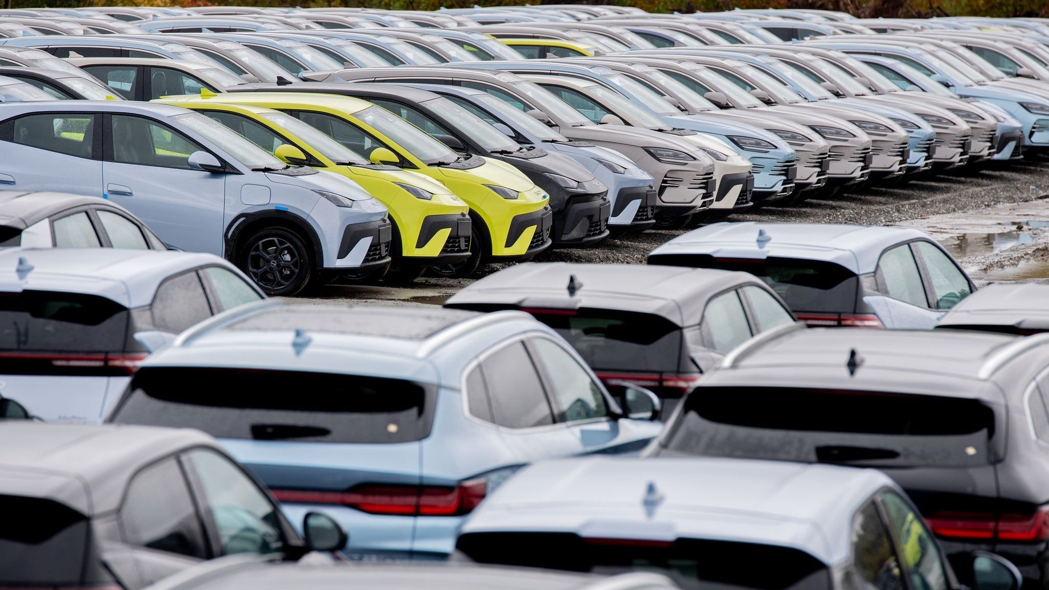 E-Autos: BYD-Chef warnt nach Kursverlust vor &bdquo;brutaler Knock-out-Phase&ldquo;