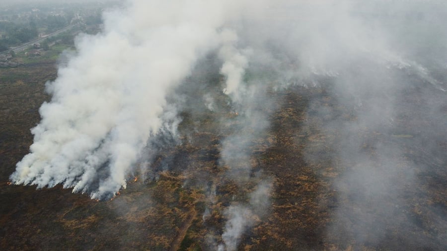 Feuer auf Borneo und Sumatra: Indonesien lässt Wolken impfen – Regen gegen die Waldbrände