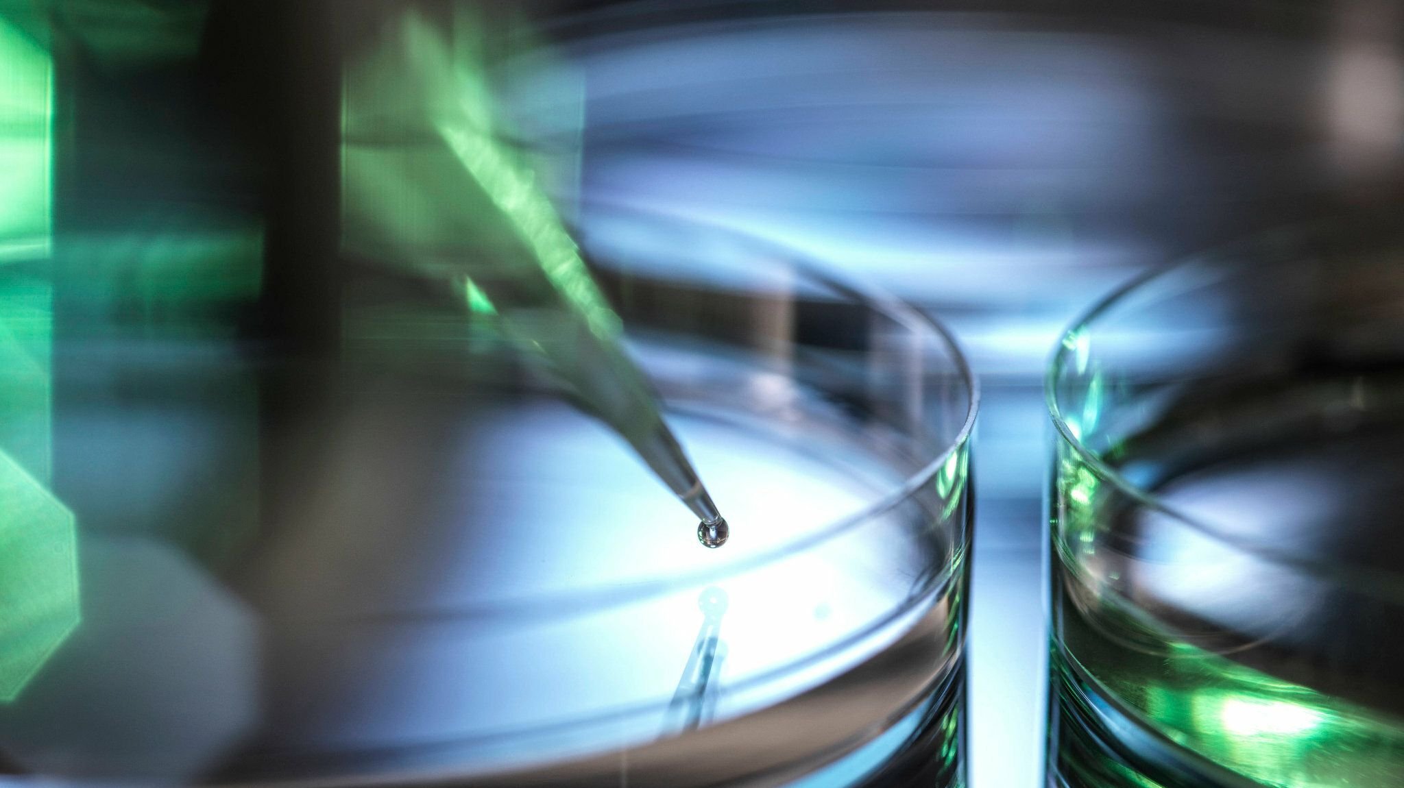 Morphosys Zahlen: Biotech-Pionier in der Vertrauenskrise