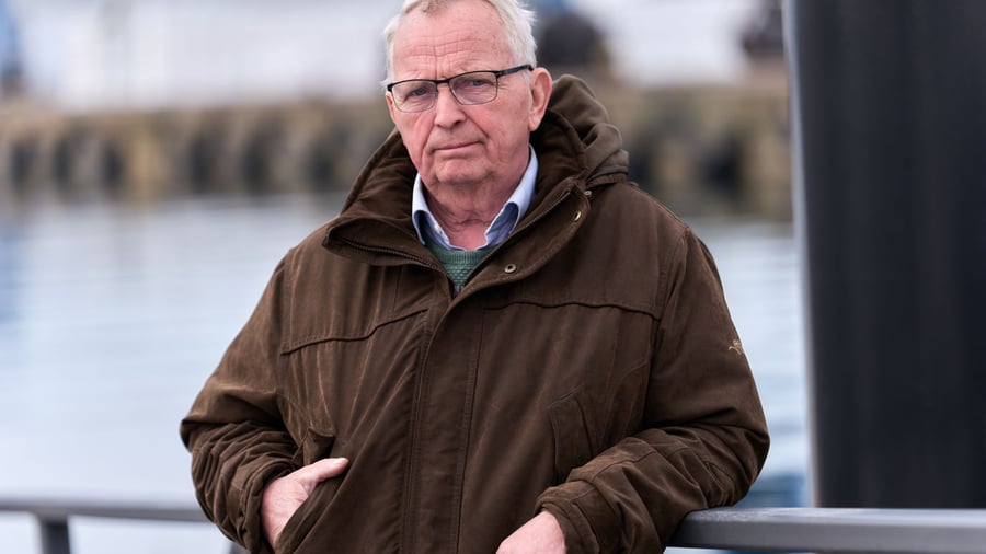 Gestrandeter Wal vor Poel: Ministerium duldet möglichen Transport des Buckelwals