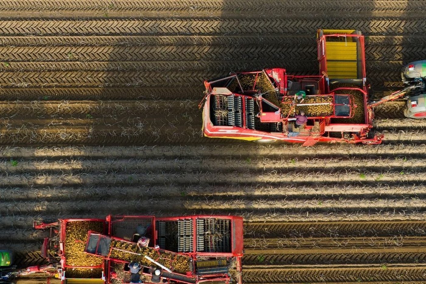 Chemicals: Bayer is focusing on a new weed killer - | works differently ...