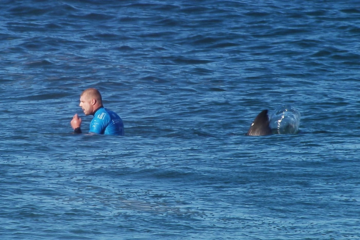 Angriff vor laufender Kamera: Surf-Star Fanning wehrt sich gegen Hai ...