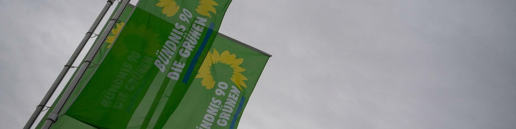 Grüne erhalten Rekordspende von einer Million Euro