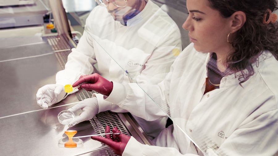 Regenerative Medizin: Organe aus dem 3D-Drucker – Cellbricks erweitert Tierstudien