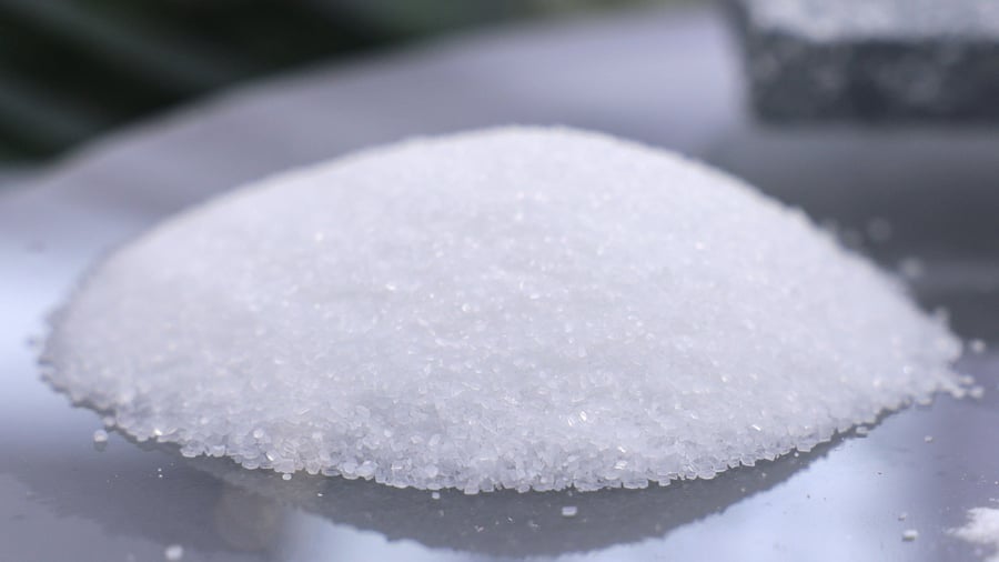 Kritische Rohstoffe: Erste Lithium-Raffinerie Europas startet bald kommerzielle Produktion