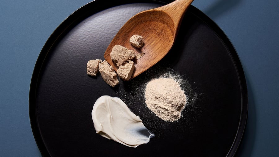 Biotech: Proteine aus Bakterien: Produktionswerk in Leuna soll täglich 150.000 Hühnchen ersetzen