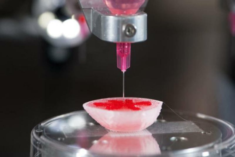 Bioprinting: Organe aus dem Drucker?