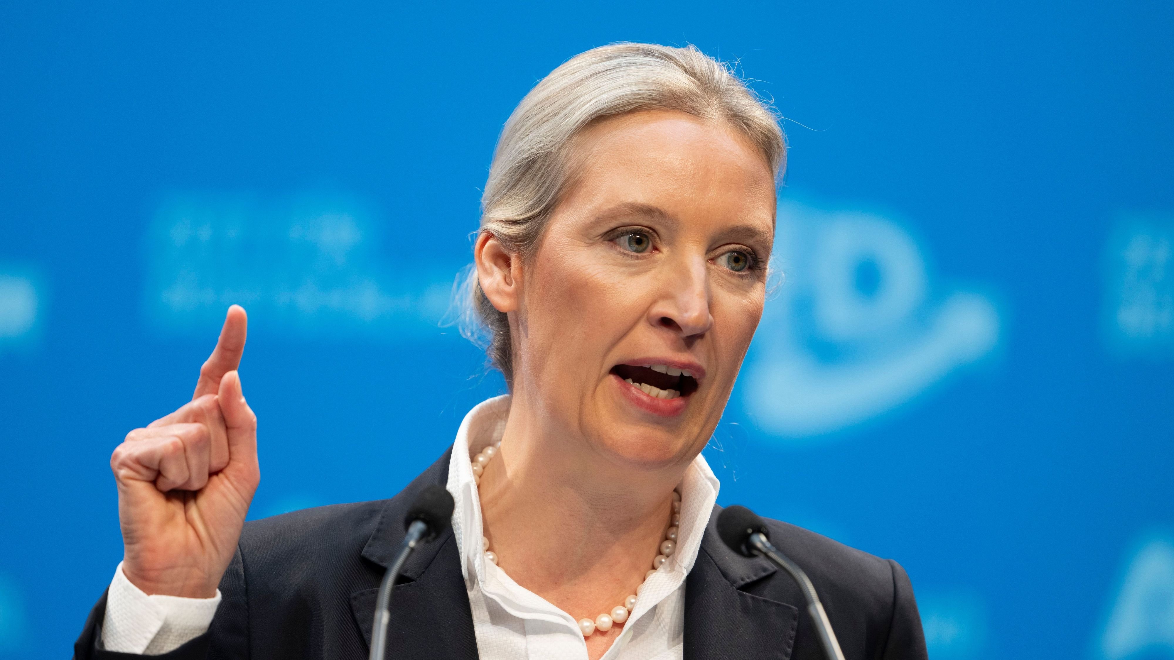 Bundesregierung: Weidel spricht nach Gerichtsentscheidung von „großem Sieg“