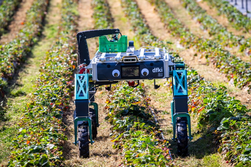 Technologie: Wie Deutschland mit Robotik und KI nach vorn kommen kann
