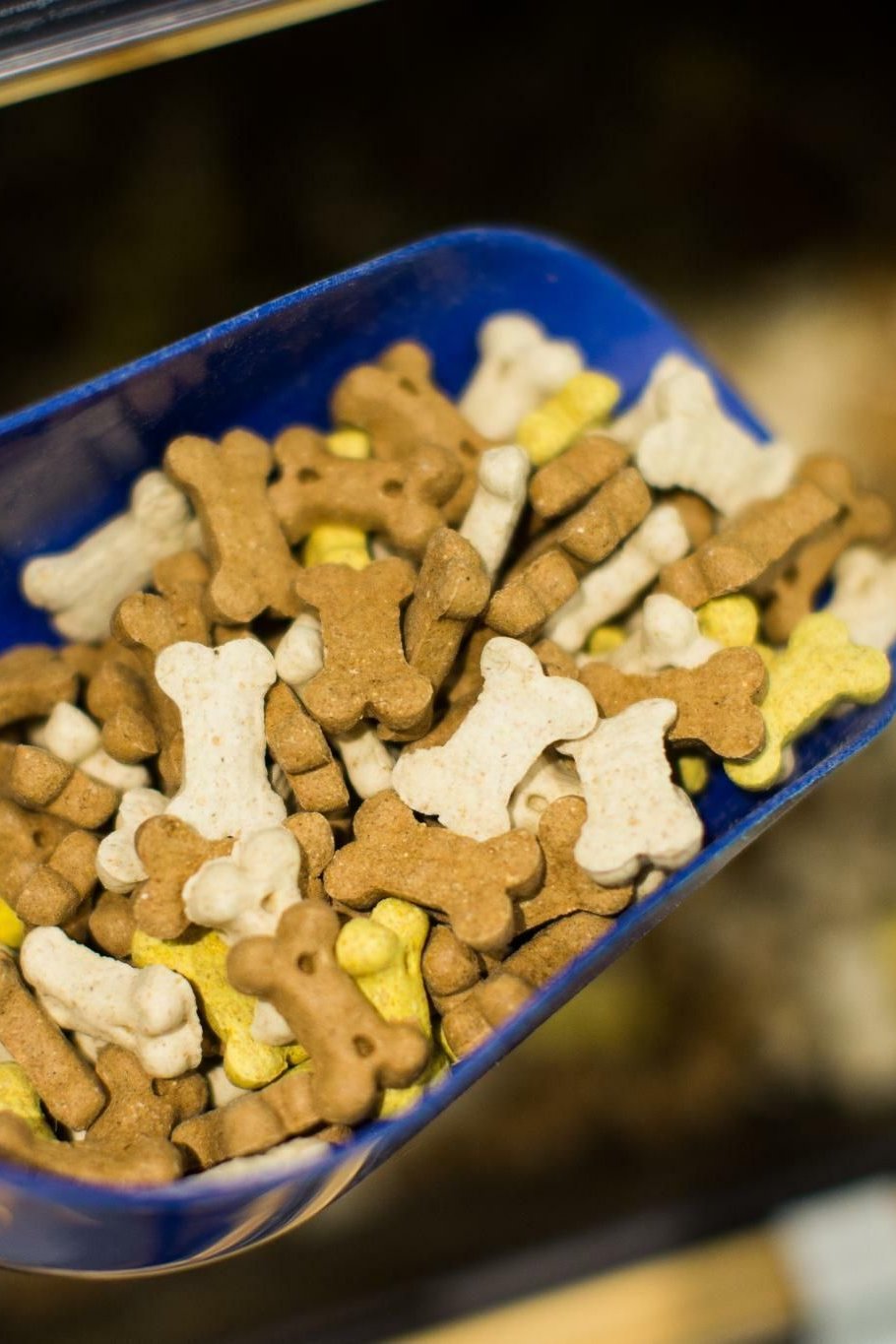 Finanzinvestoren nehmen wichtige Hrde bei der Zooplus-bernahme