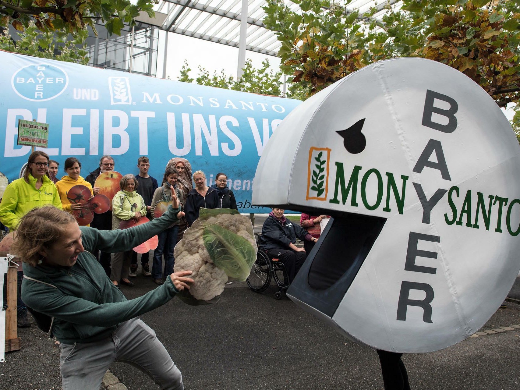 wie lange olivenbaum düngen Olivenbaum Dünger von Flora Boost