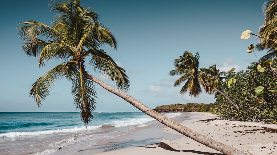Medien: Burda plant Verkauf der Reiseplattform Holidaycheck