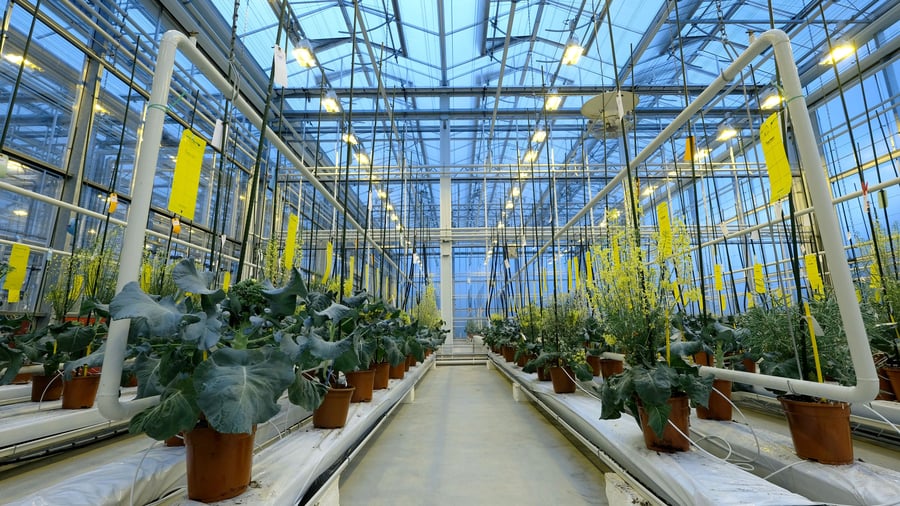 Chemie: Syngenta peilt möglicherweise Milliarden-Börsengang in Hongkong an