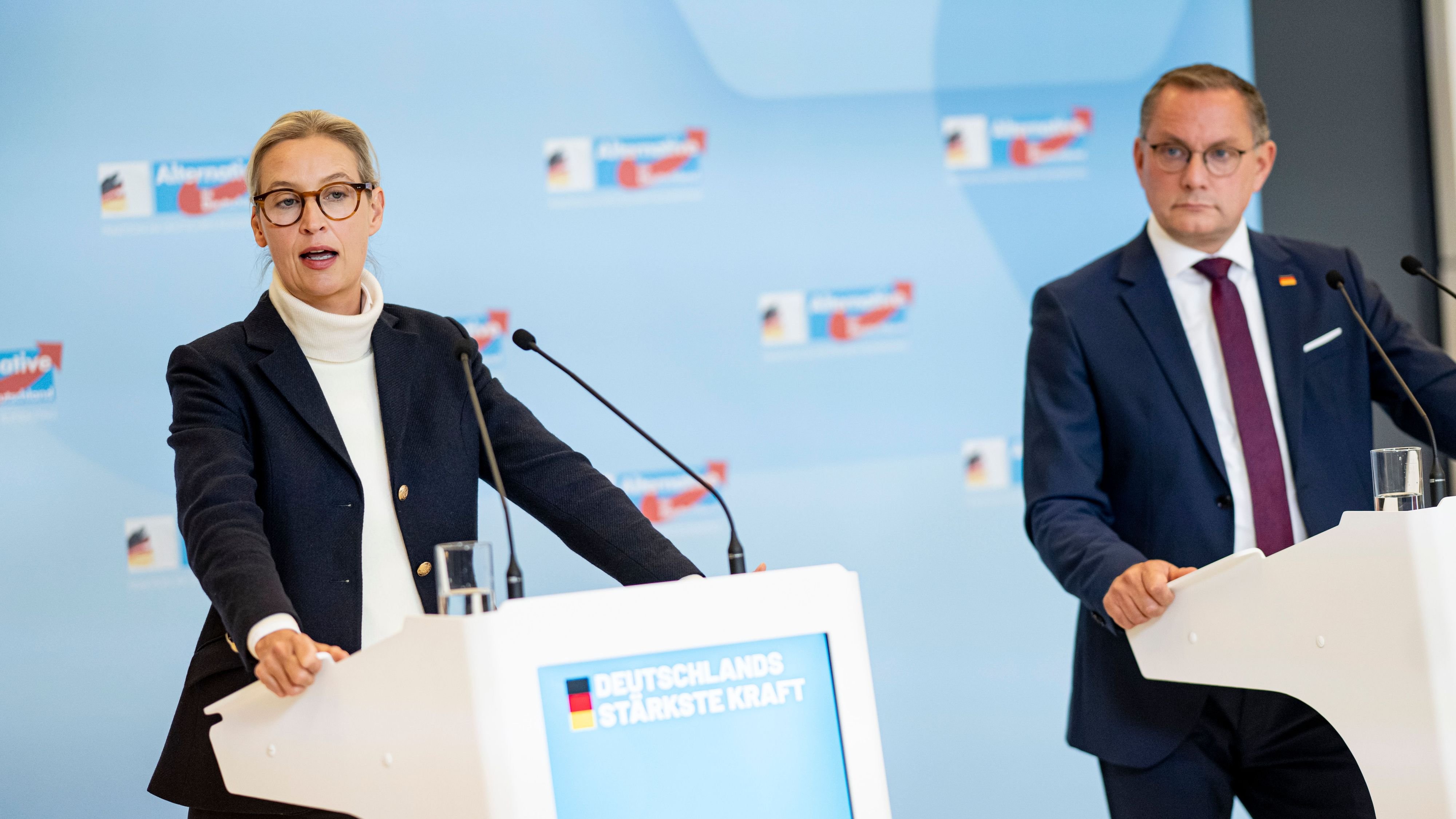 Analyse: AfD wappnet sich für Ost-Wahlen - und kämpft mit Problemen