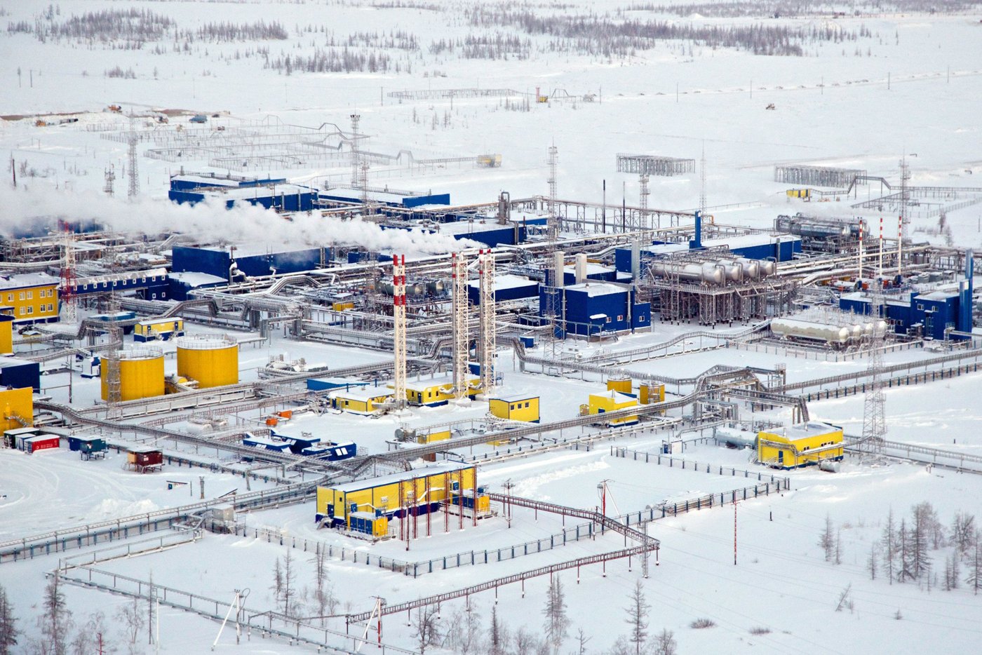 Energie: Putin beschlagnahmt Beteiligungen von Wintershall und OMV