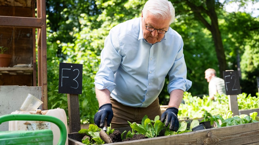 Bundespräsident: Steinmeier zum Grundgesetztag: Demokratie braucht Tatkraft