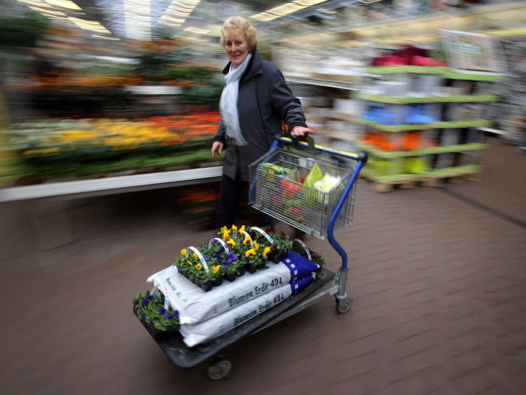 Blumenerde-Hersteller: Compo bernimmt Konkurrenten Terrasan