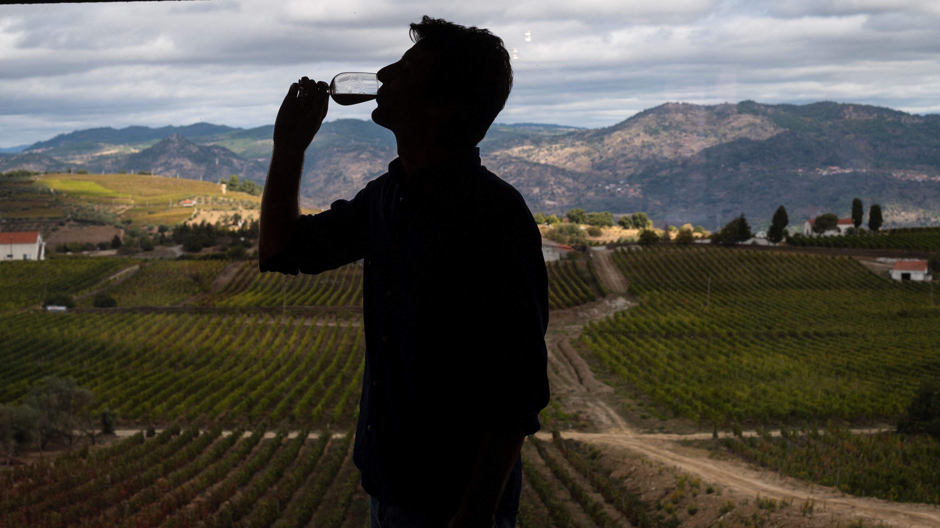 Deutsche Winzer machen sich zunehmend Sorgen um ihr Geschäft