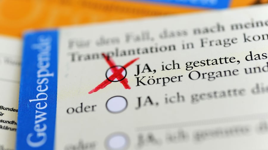 Statistik: Lebensrettend: Anfang 2026 wurden mehr Organe gespendet