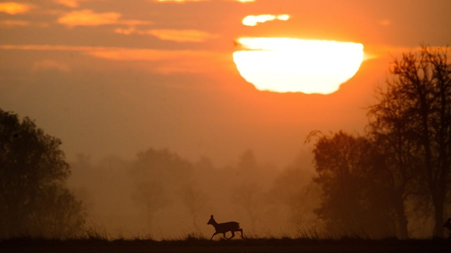Gefahr nach Zeitumstellung: Augen auf und Fuß vom Gas - es wird wild auf den Straßen