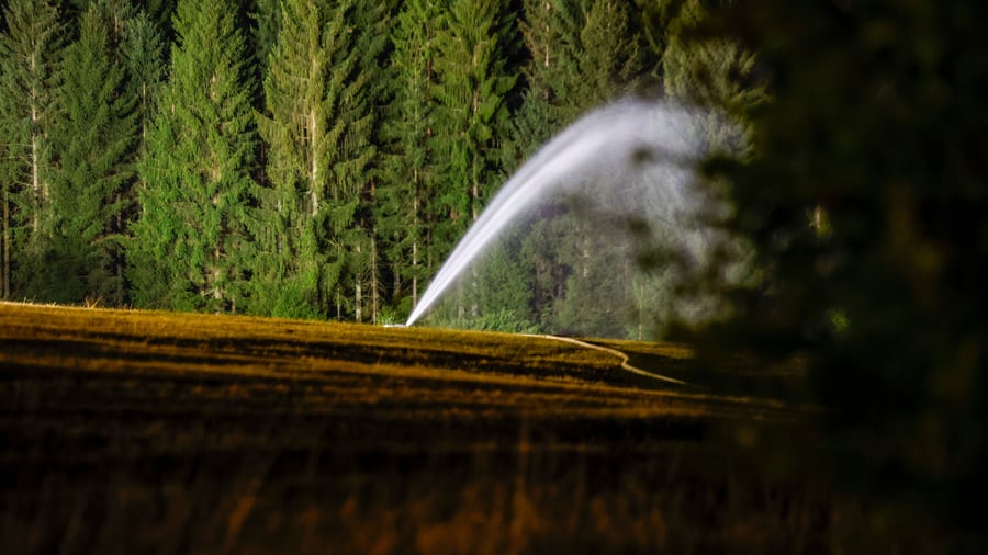 Die Welt in Bildern: Blickfang