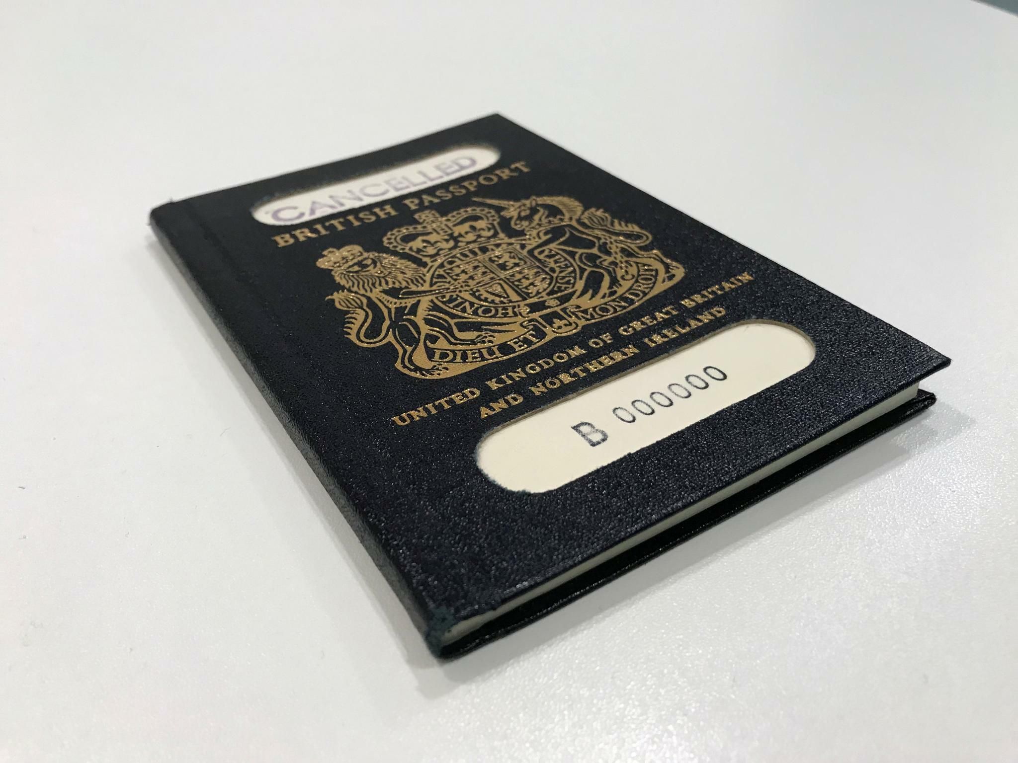 RFID Reisepass Hülle AOOSU Reisepasshülle Orange - RFID Schutz Kunstleder Passport Hülle
