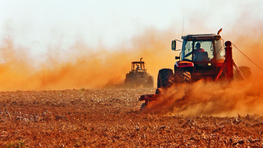 Ethanol statt Benzin: Biosprit und Lebensmittel: So treibt ein deutschstämmiger Farmer Brasiliens Agrarboom voran