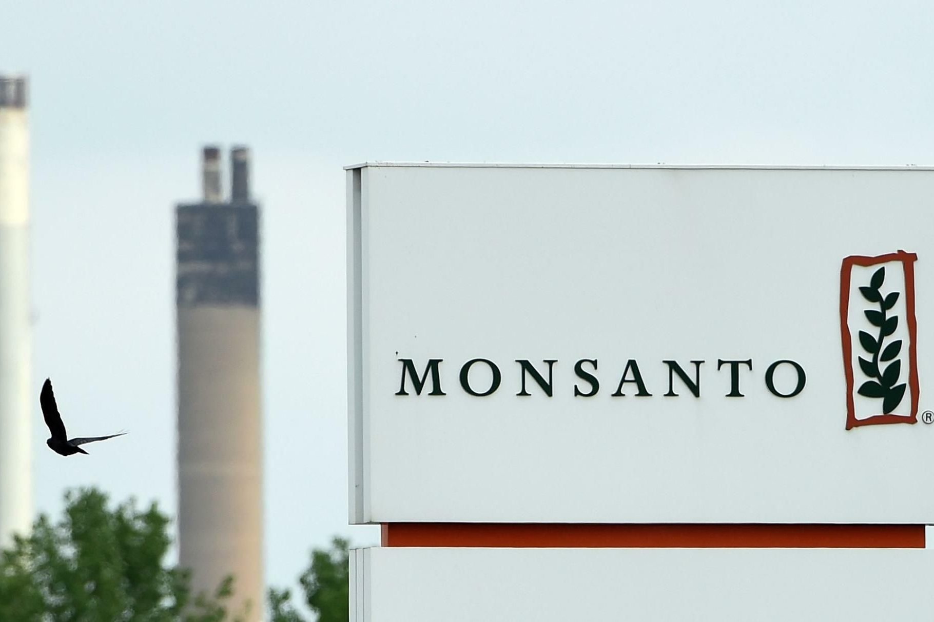 Bayer streicht nach der bernahme den Namen Monsanto