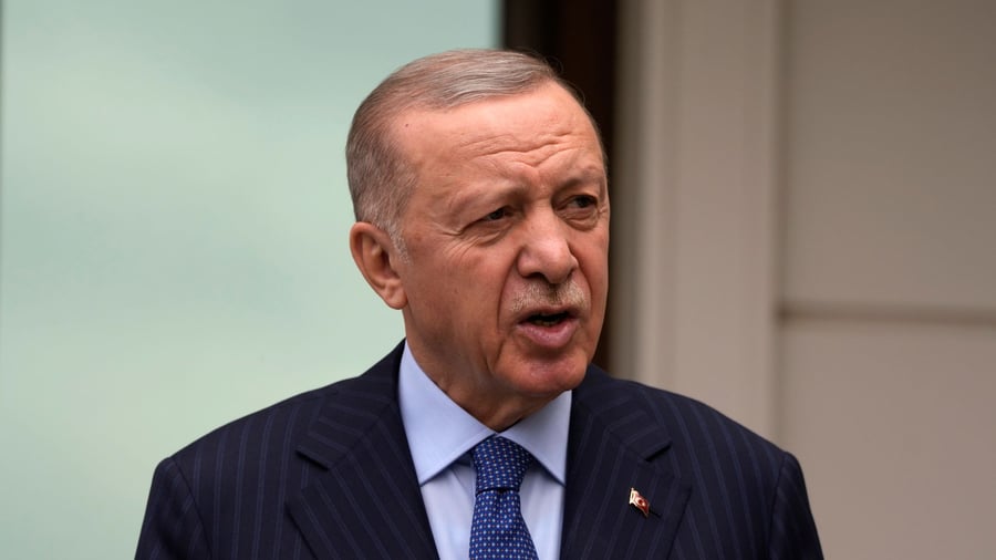 Erdogan appointment sparks opposition fury