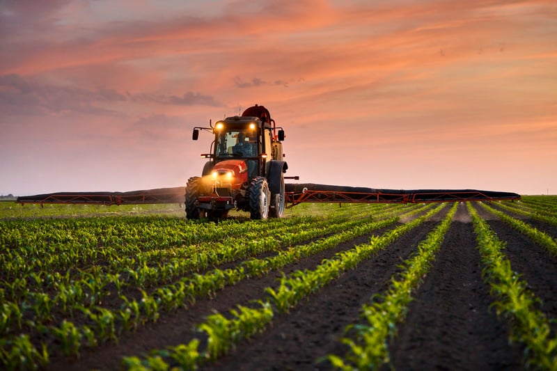 bester dünger für kartoffeln Purgrün Bio-Kartoffeldünger 1 Liter
